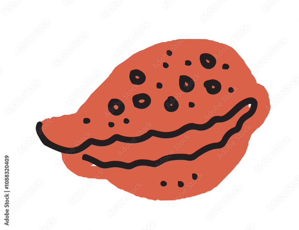 Hand drawn illustrated clam shell vector Hand drawn illustrated clam shell vector