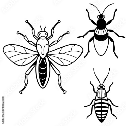 set of insects isolated on black vector art 