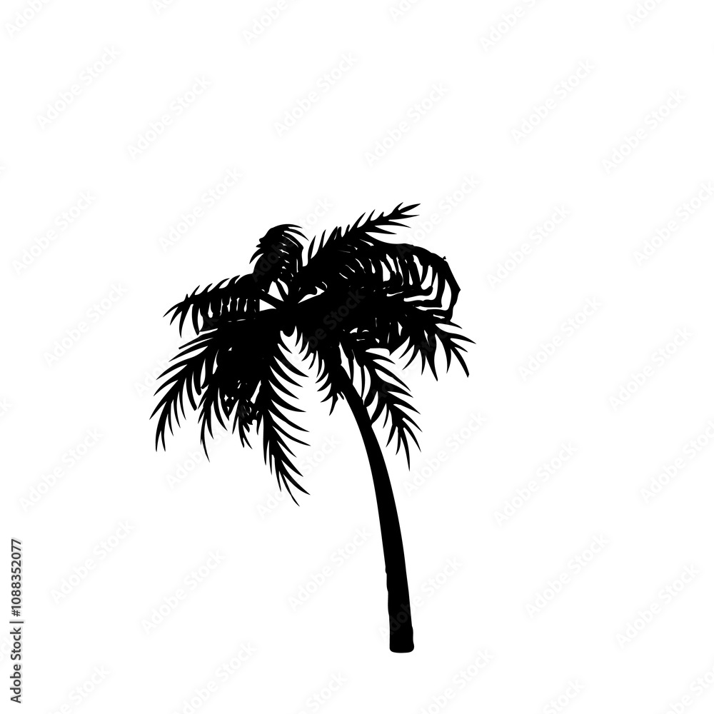 Obraz premium bamboo palm tree 