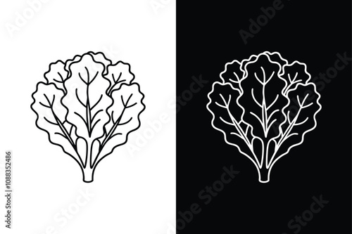 Kale Line Icon with Reflection. Simple and Elegant Illustration