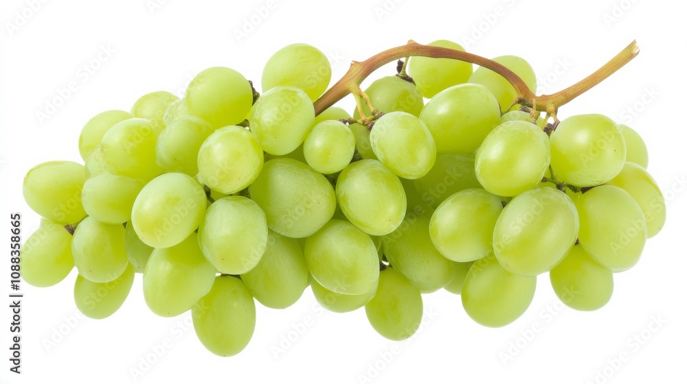 A bunch of vibrant green grapes hanging delicately, Each grape ripe and plump, ready to burst with flavor A bunch of vibrant green grapes hanging delicately, Each grape ripe and plump, ready to burst with flavor