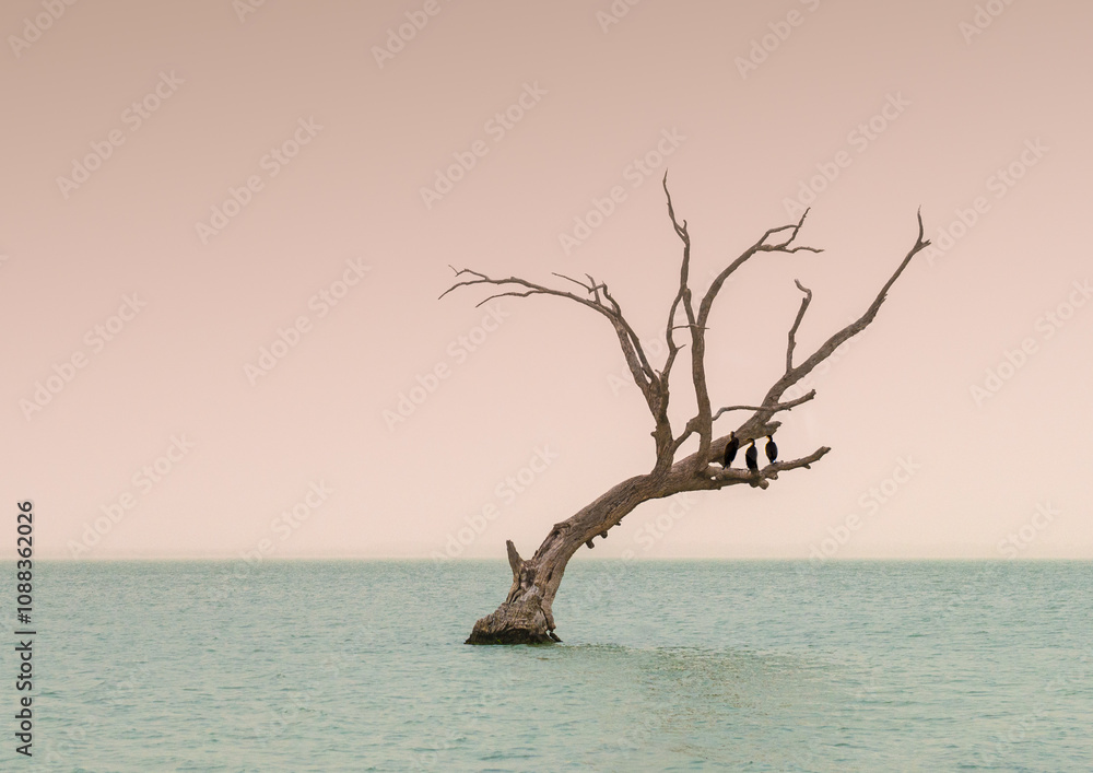 Lake Bonney with green tinge and an old tree in a dust storm Lake Bonney with green tinge and an old tree in a dust storm