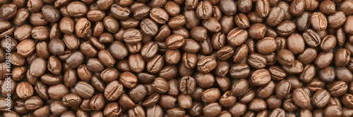 Fresh roasted coffee beans arranged neatly on a wooden surface photo