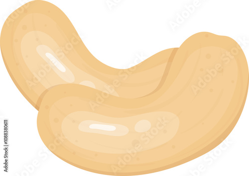 Beautiful flat illustration of cashew nut clipart