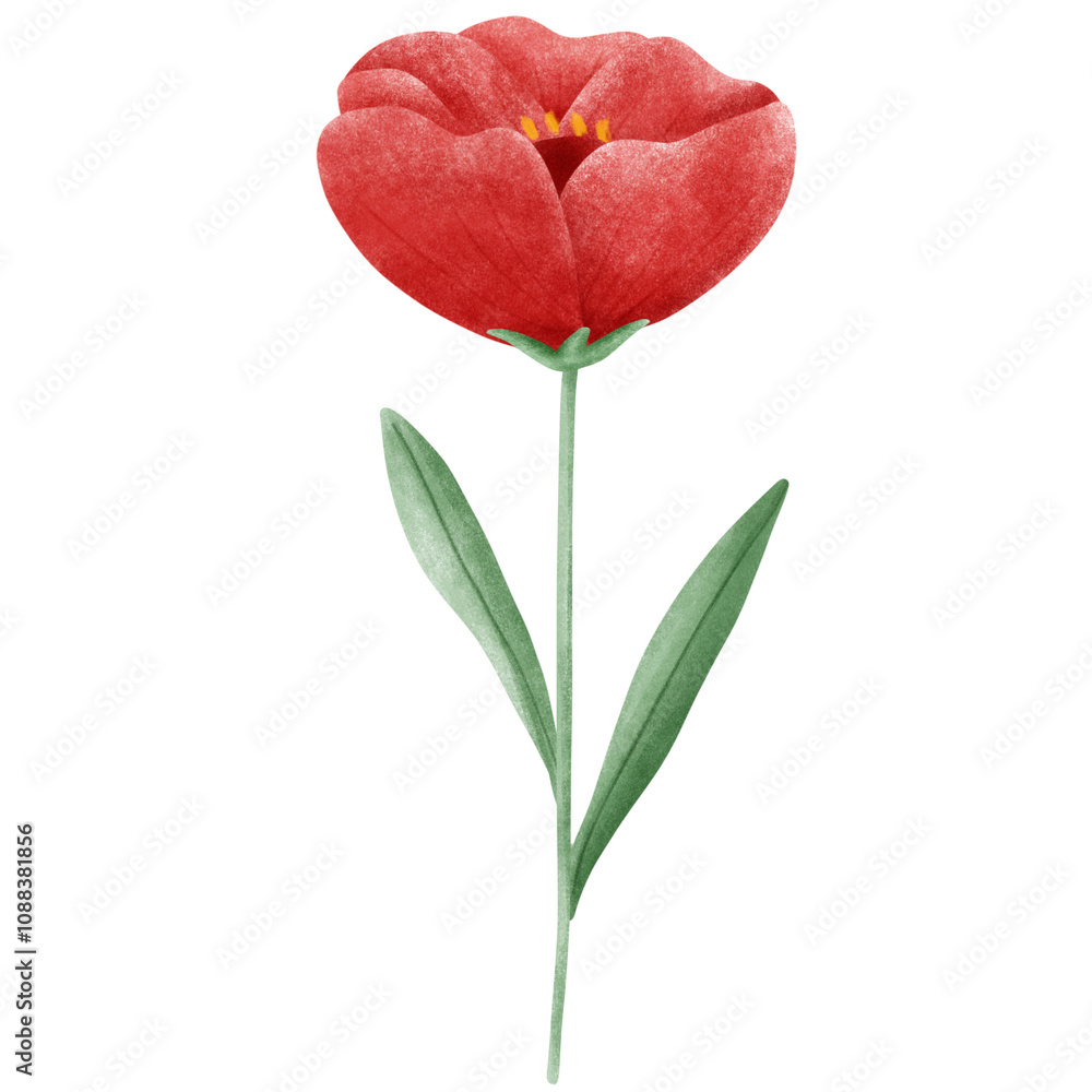 Flower Flower