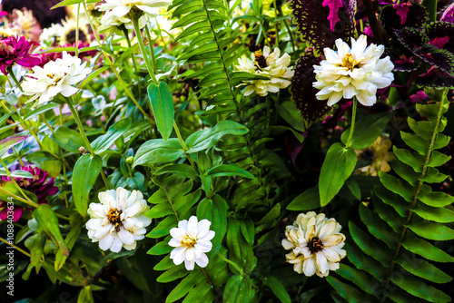 beautiful flowers bloom in the garden