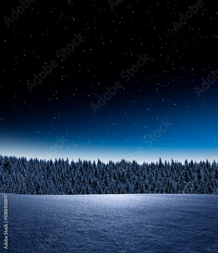 Ein Winterwald mit Sterne am Himmel