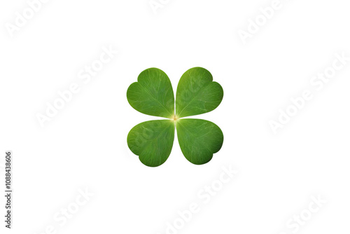 Clover leaf isolated, transparent background