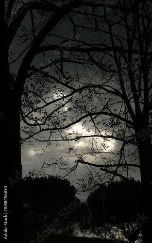 Apocalypse sky I