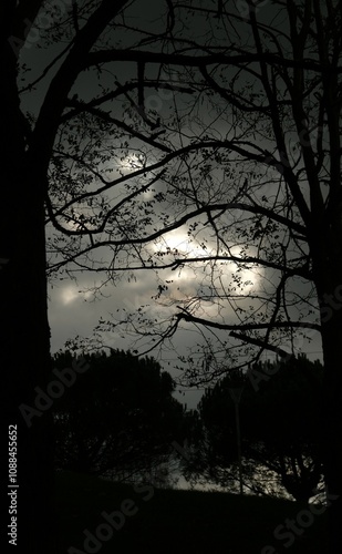 Apocalypse sky I