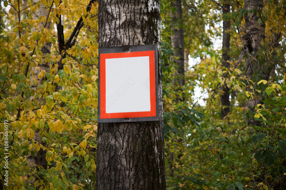 a sign for announcements hangs on a large tree in the forest a sign for announcements hangs on a large tree in the forest