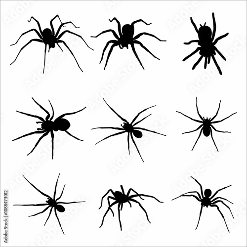 spider silhouette collection