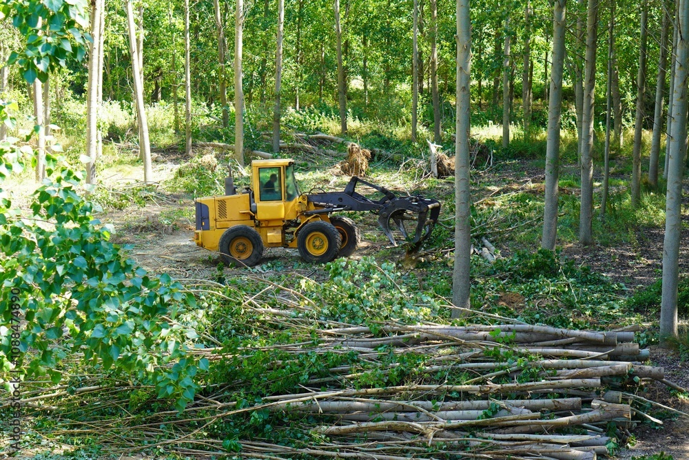 woodworking industry. machine with grapple to pick up and transport cut logs woodworking industry. machine with grapple to pick up and transport cut logs