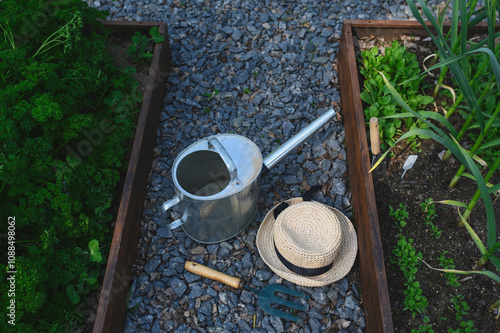 Raised veggie garden beds with watering can, hat and shovel. Seeding and growing strawberry, garlic and parsley