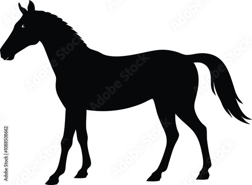 horse black silhouette isolated vector art Illustration with white background 