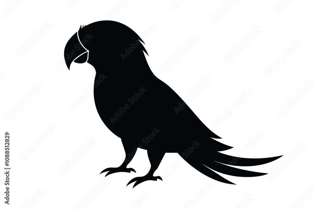 Fototapeta premium parrot black silhouette isolated vector art Illustration with white background
