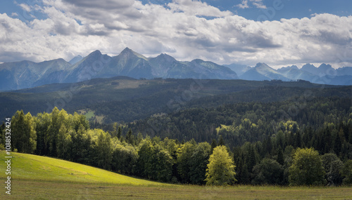 Fototapeta Naklejka Na Ścianę i Meble -  Scenic View of Tatra National Park in Polish Carpathian Mountains