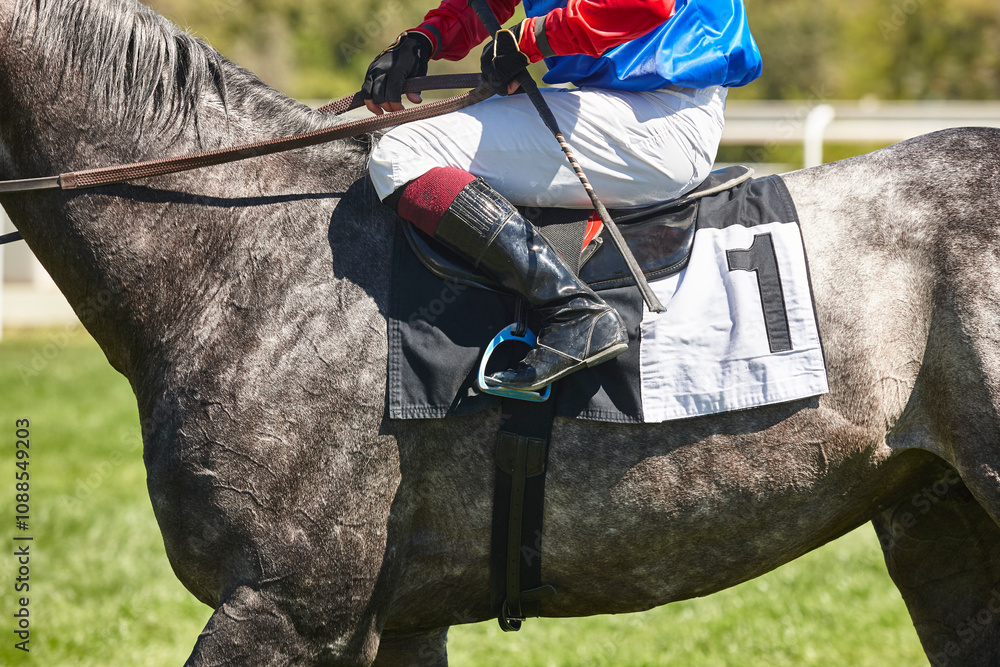 Race horse with jockey detail. Purebred in the hippodrome. Turf
