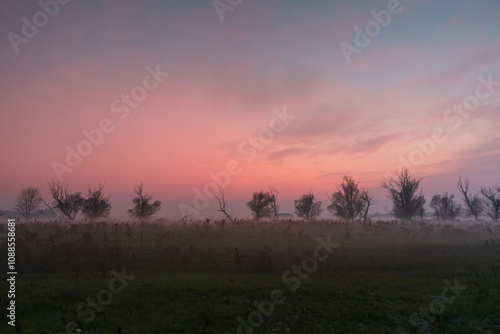 Obraz na płótnie GPS INSIDE Sunset trees feeling particular characteristic nature naturalistic landscape w salonie
