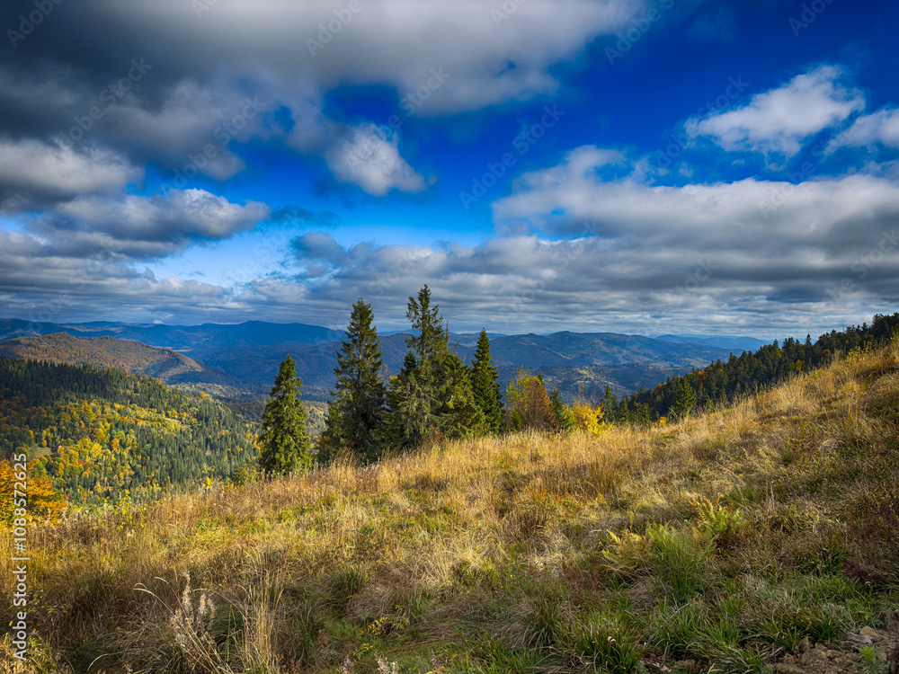 The landscape of Carpathian Mountains in the sunny weather. Perfect weather condition in the autumn season The landscape of Carpathian Mountains in the sunny weather. Perfect weather condition in the autumn season