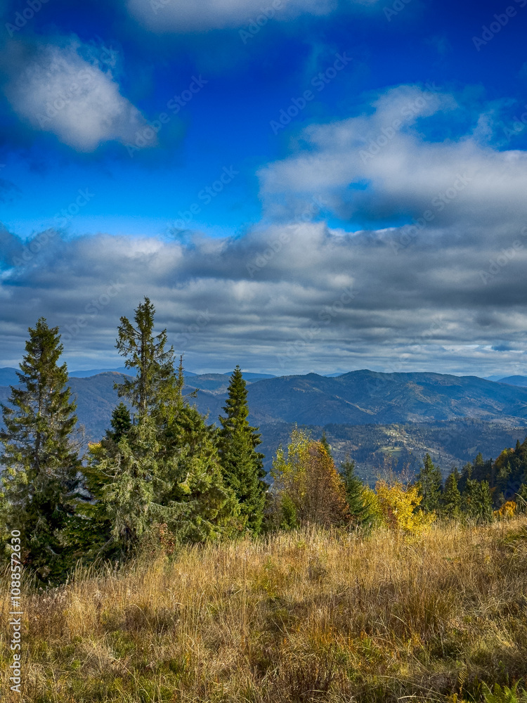 The landscape of Carpathian Mountains in the sunny weather. Perfect weather condition in the autumn season The landscape of Carpathian Mountains in the sunny weather. Perfect weather condition in the autumn season