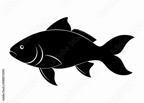 Carp fish vector silhouette black illustration on white background