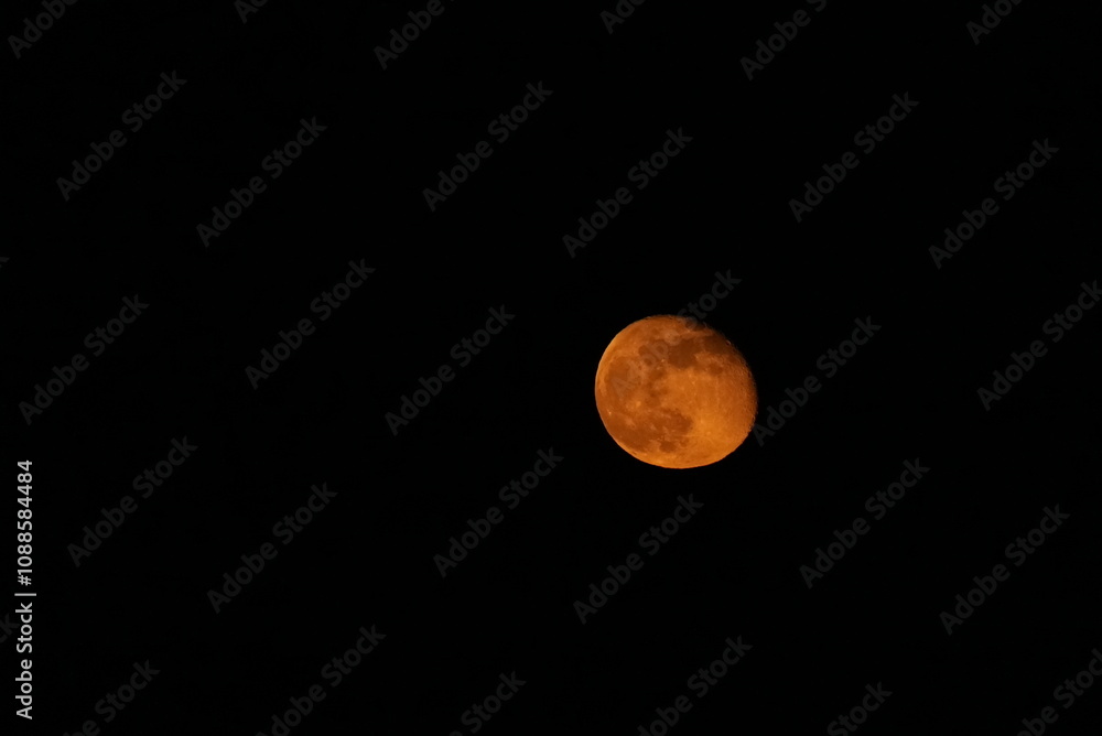 Obraz premium full moon in the night sky, beaver moon in Los Angeles