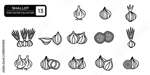 Collection of shallot icons, editable and resizable vector icon templates