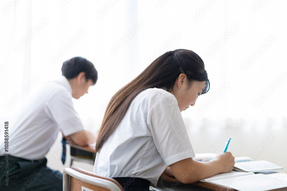 授業を受ける高校生の背中 授業を受ける高校生の背中