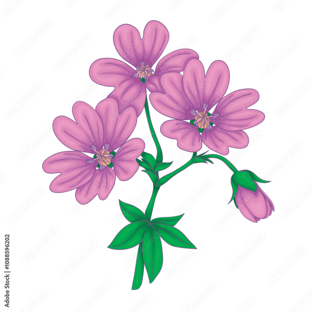 Obraz premium Vibrant Pink Geranium or Mallow Flowers Botanical Vector Drawing Featuring Detailed Petals and Green Leaves in Flat Style