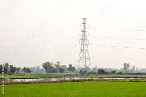 High tension electric poles on the paddy fields photo