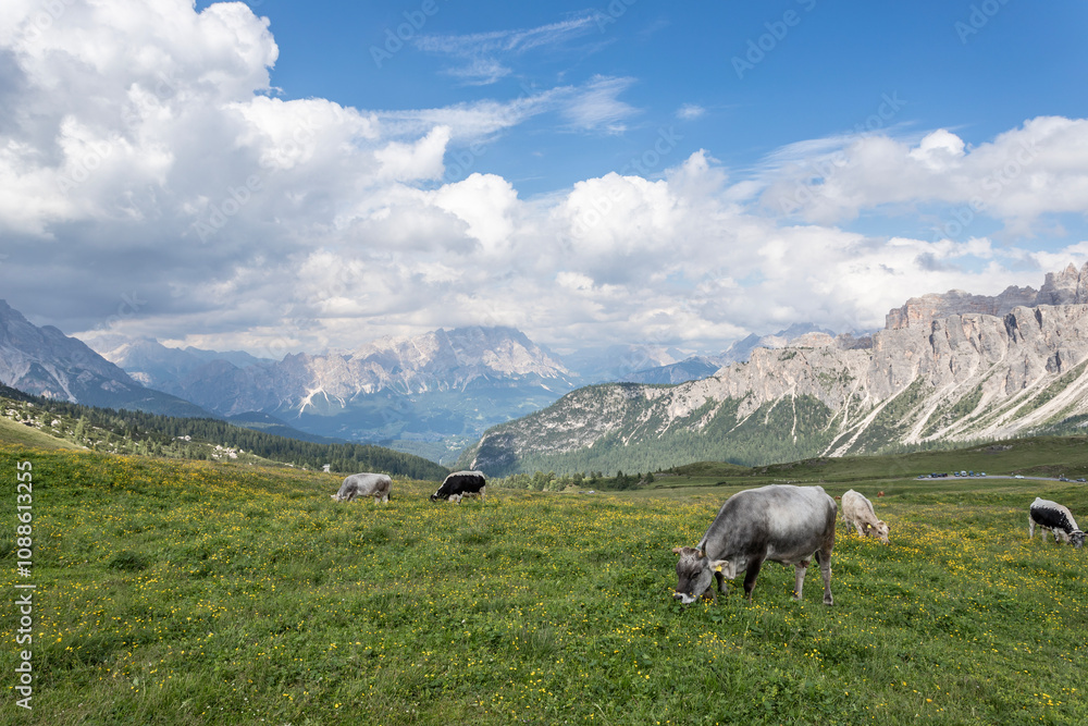 Fototapeta premium Passo Giau nelle dolomiti italiane