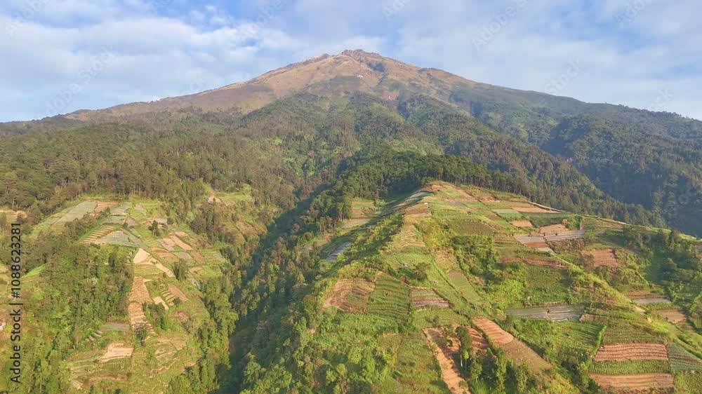 Drone view of Mount Sumbing, Central Java, Indonesia. Huge mountain with forest and plantation on the slope and cloudy blue sky. 4K aerial video. Drone view of Mount Sumbing, Central Java, Indonesia. Huge mountain with forest and plantation on the slope and cloudy blue sky. 4K aerial video.