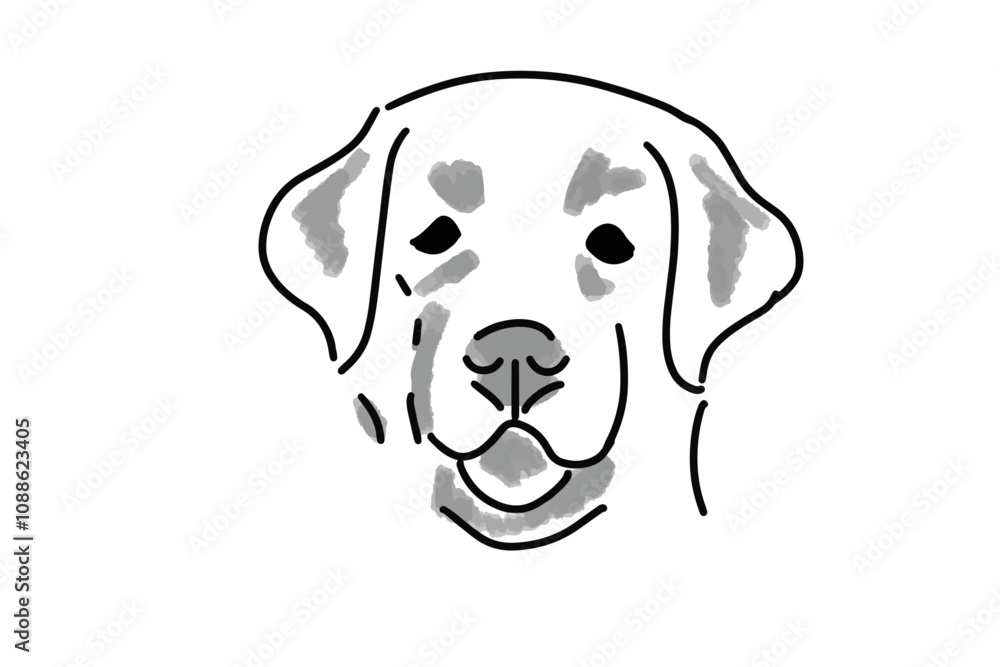 Vector of a sketch portrait of a Labrador Vector of a sketch portrait of a Labrador