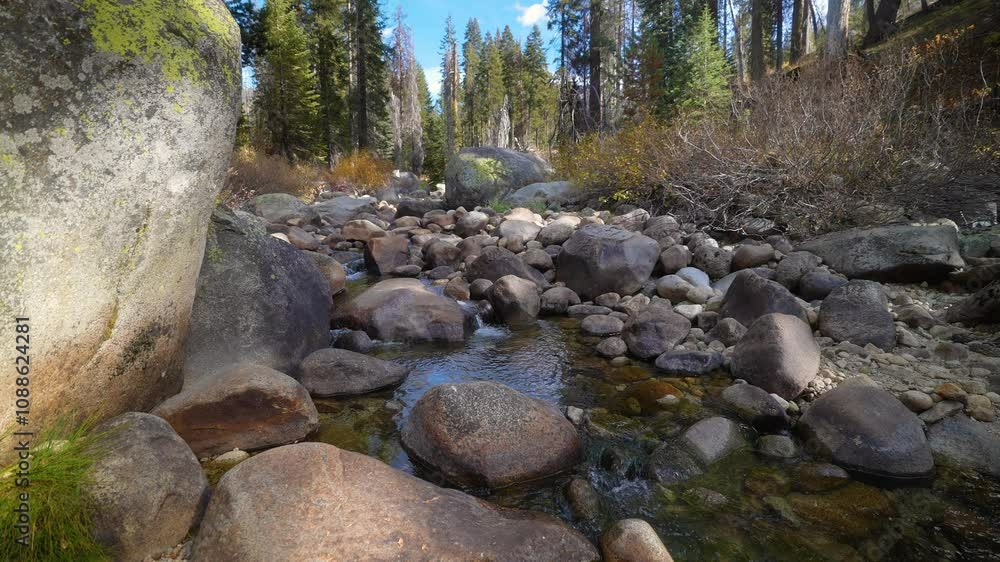 wide angle of a running creek within the Sequoia National Park California, blue skies and clouds with a light breeze wide angle of a running creek within the Sequoia National Park California, blue skies and clouds with a light breeze
