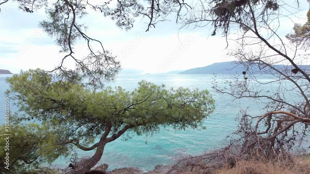Views faraway land over Azure sea, Mediterranean pine trees frame Views faraway land over Azure sea, Mediterranean pine trees frame