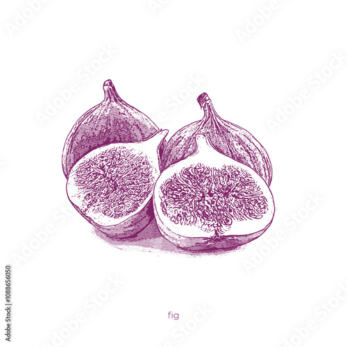 Halftone colorful concept vector fruits