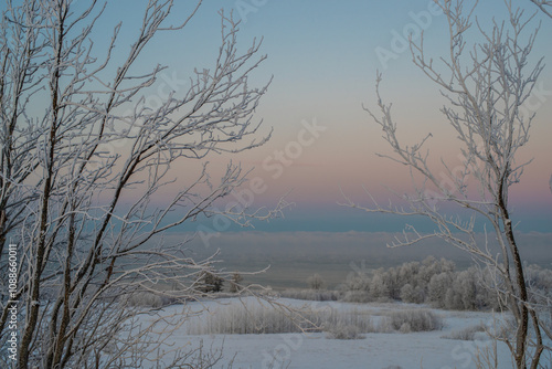 Winter landscape in Estonia with frost-covered trees framing the scene. he bare branches are delicately coated with ice giving them a shimmering white appearance. Frozen Baltic Sea in a background. photo