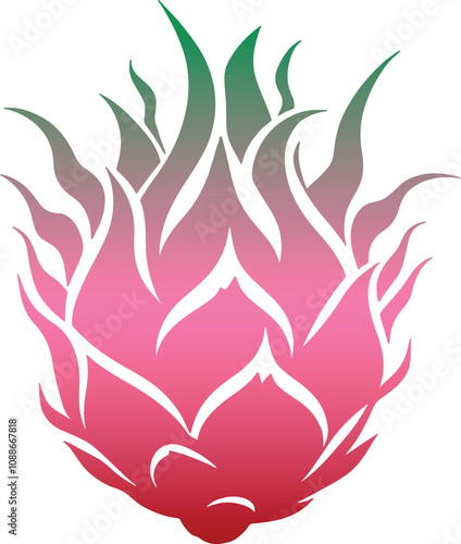 Fresh Dragon Fruit Colorful Vector Illustration