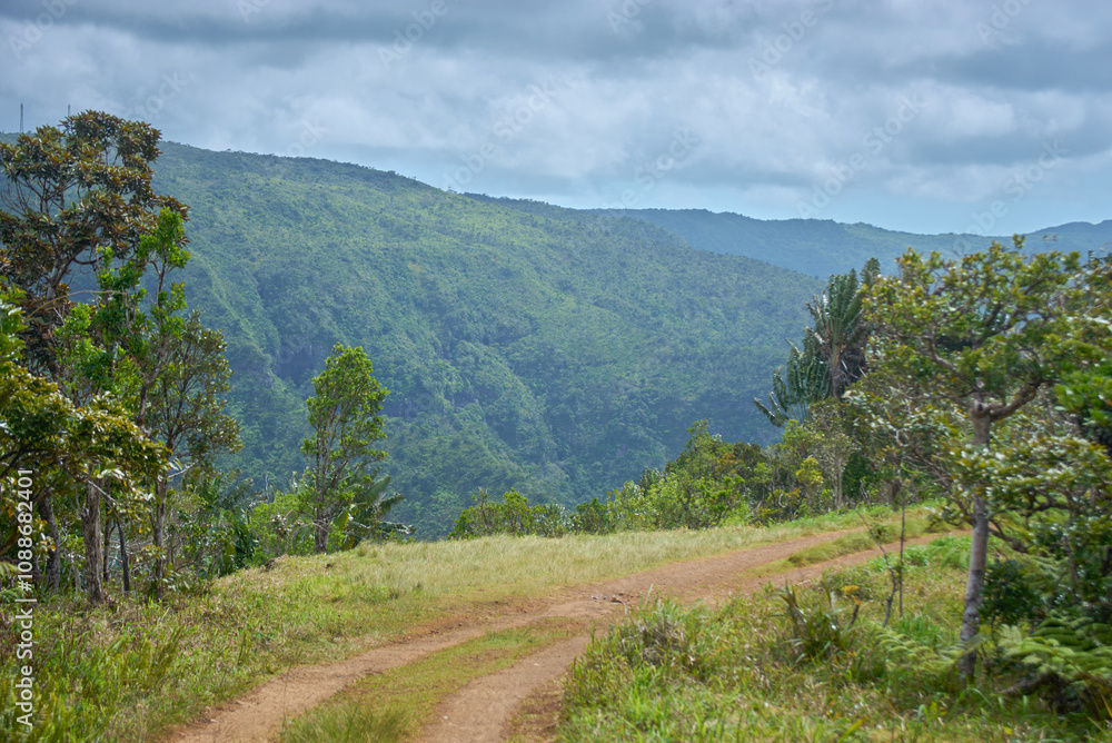Fototapeta premium Stunning view of Black River Gorges National Park in Mauritius, featuring endemic trees in the background