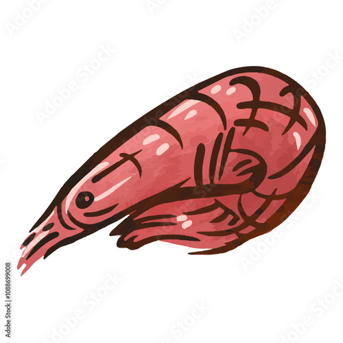 Realistic illustration of a shrimp showcasing its details and colors on a white background