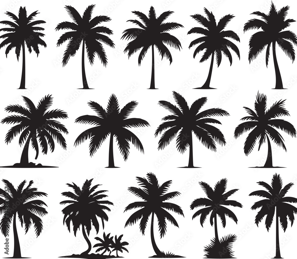 Black Vector Palm Tree Silhouettes Black Vector Palm Tree Silhouettes