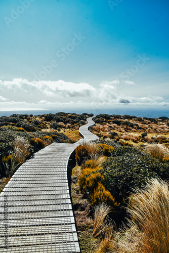 Fotografía del camino hacia Pouakai Tarns en Taranaki, Nueva Zelanda.