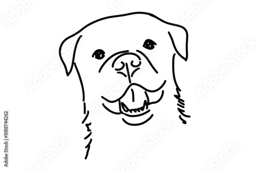 Vector illustration of a Rottweiler head drawing