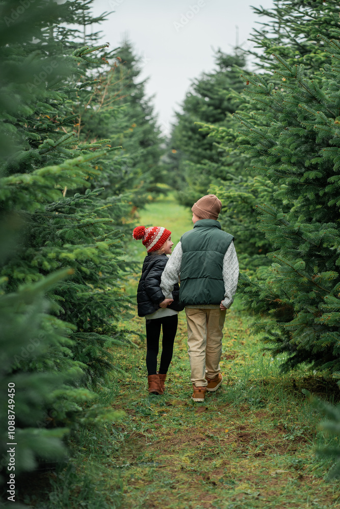 Cute little children choose Christmas tree for home at the market. Winter holidays. Cute little children choose Christmas tree for home at the market. Winter holidays.