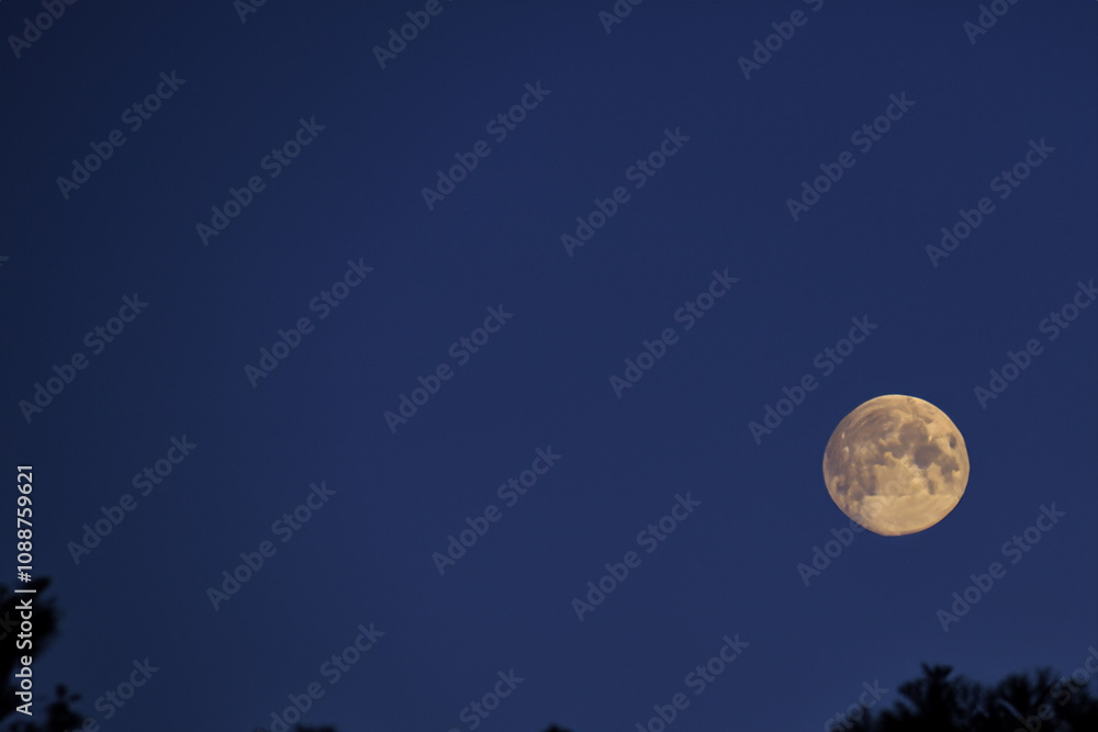 The moon and sky in nature at night. Light landscape concept. A full moon with a big dark sky at night. A full moon in the dark with a big cloud in the sky at night lifestyle. The moon and sky in nature at night. Light landscape concept. A full moon with a big dark sky at night. A full moon in the dark with a big cloud in the sky at night lifestyle.