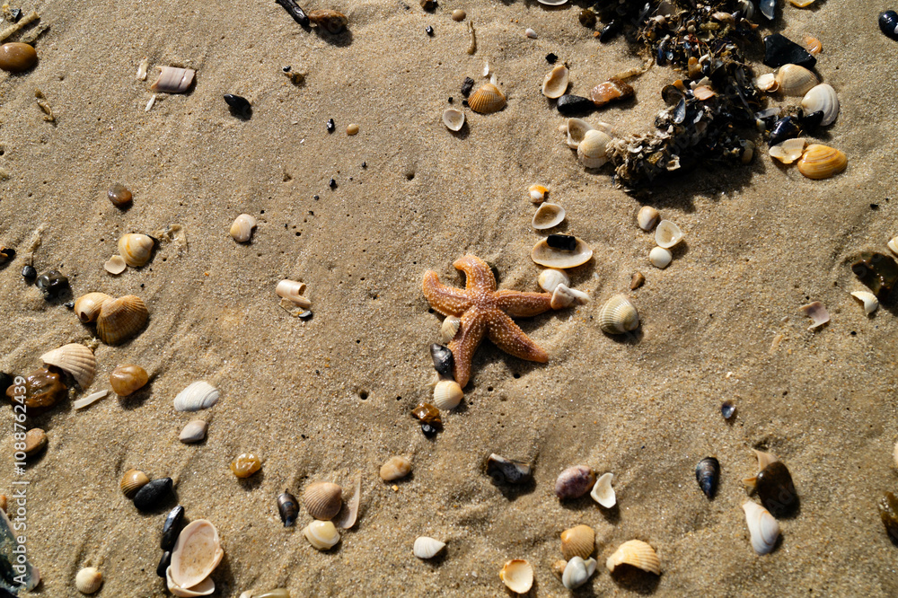 an der Nordsee in Hvidbjerg Strand Westjütland an der Nordsee in Hvidbjerg Strand Westjütland