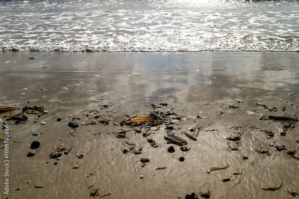Obraz premium an der Nordsee in Hvidbjerg Strand Westjütland