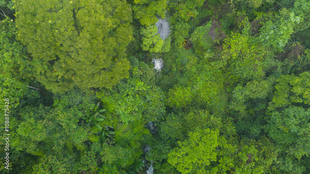Carbon credit concept village in the lush green rain cloud and foggy cover tropical rain forest mountain during the rainy season.. Carbon credit concept village in the lush green rain cloud and foggy cover tropical rain forest mountain during the rainy season..