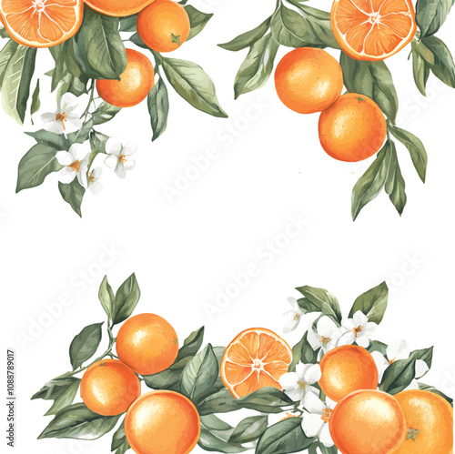 vector watercolor oranges with flowers border set on white, perfect for invitation card design, orange botanical Wedding Invitation, floral invite thank you,  modern card Design in oranges and flowers